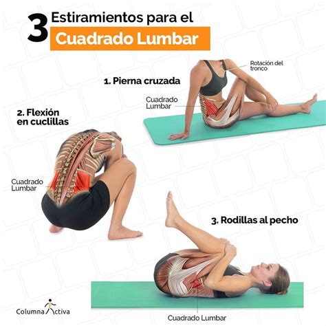 Columna Activa :: El hígado. Dolor de espalda y cervical | Yoga benefits, Easy yoga workouts ...