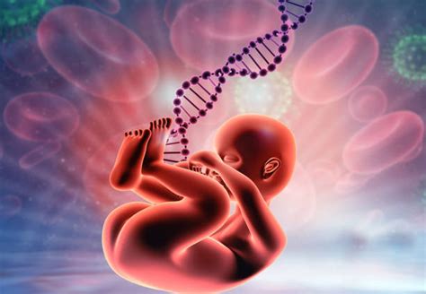Image result for Fetus DNA Testing