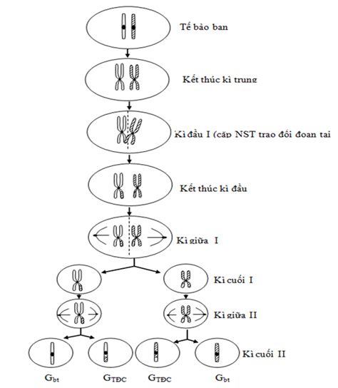 Image result for JavaScript Methods Cheat Sheet
