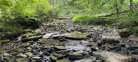 Cathedral, Cardinal, and Partridge Trail: 239 foton – West Virginia ...