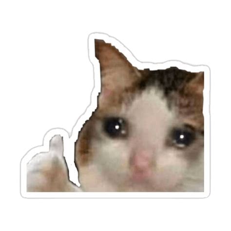 Crying Cat Thumbs Up Sticker | Stickerfever.in