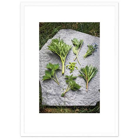 Hävvi Naturally Bianca Brandon-Cox