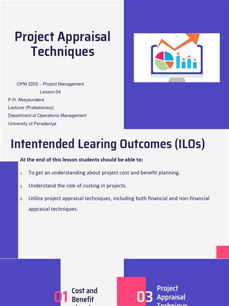 Project Appraisal Example 的图像结果