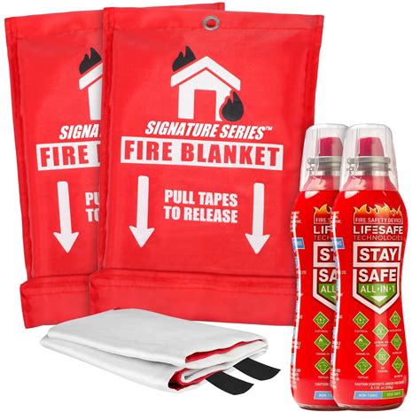 Buy LifeSafe StaySafe All-in-1 Portable Fire Extinguisher with ...