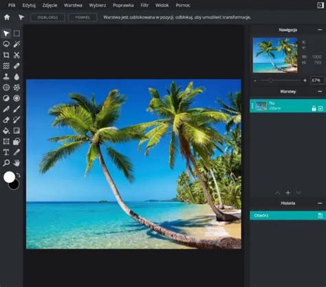 Image result for Pixlr Editor Basic