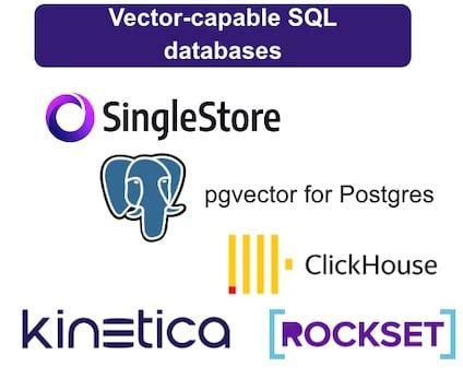 Vector Store Example 的图像结果
