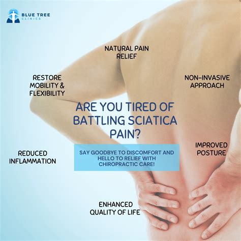Exploring Chiropractic Care for Sciatica Pain Relief: A Comprehensive Guide | Blue Tree Clinics