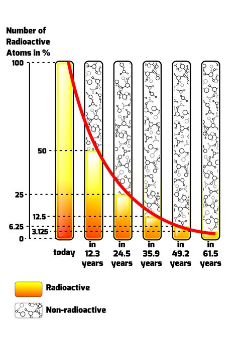 Exponential Decay 的图像结果