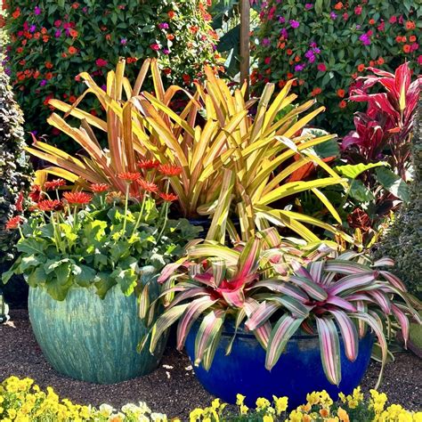 Florida Landscape Plans South Florida Landscaping Ideas Landscape In