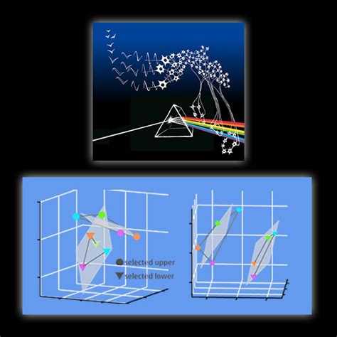 Using cutting-edge experimental and theoretical approaches, Tim ...