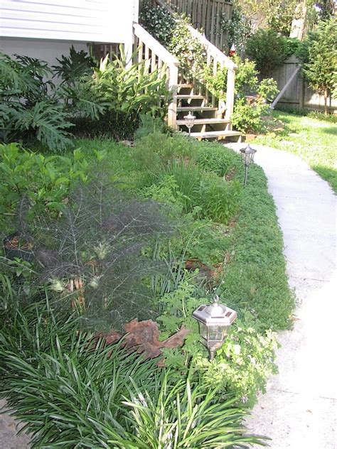 Broadcasting Planting 的图像结果