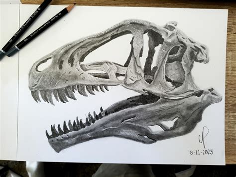 Dinosaur Bones Drawing