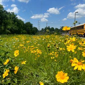 Heritage Middle School Pollinator Garden Creation, Heritage Middle ...