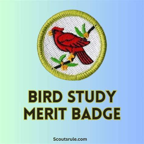 Citizenship in the World Merit Badge Guide - Scouts Rule