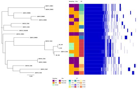 Comprehensive Analysis of Acinetobacter baumannii in Aquatic ...