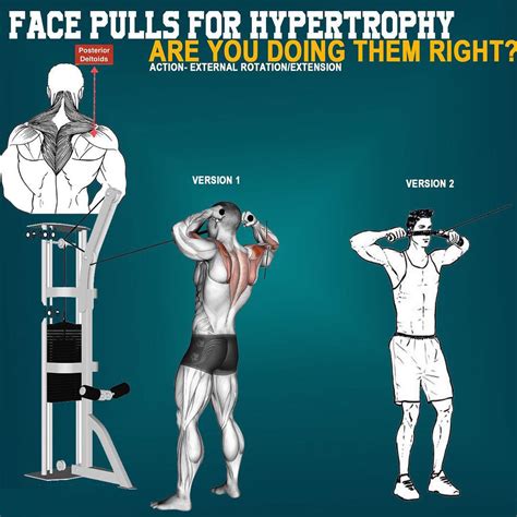 FACE-PULLS FOR HYPERTORPY | Kinetics Muscle - weighteasyloss.com