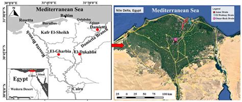 Phytoremediation Perspectives of Seven Aquatic Macrophytes for Removal ...