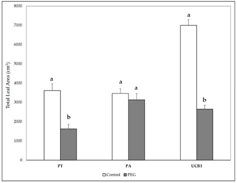 Effects of Rootstock on Water Stress, Physiological Parameters, and ...