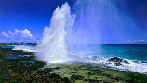 Spouting Horn Blowhole, Kauai, Hawaii, Usa - Free Nature Pictures