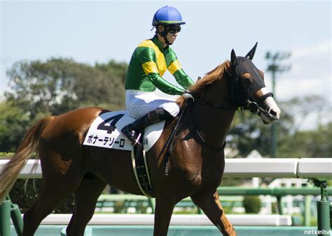 Bonar Tesoro | Horse Profile, Pedigree, Form, Race Record - netkeiba