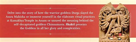 Shakti : Nilima Chitgopekar: Amazon.in: Books