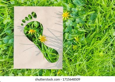 Human Impact On the Environment 的图像结果