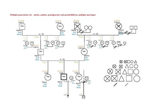 Image result for Ecomap Template