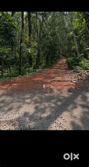 32 cent rectangle plot with private road and well water in Elanji ...