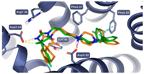 Novel Dual 5-HT7 Antagonists and Sodium Channel Inhibitors as Potential ...