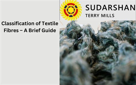 The fancy clothing that equips your wardrobe in the modern era is a ...