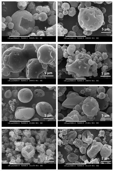 Molecules | Special Issue : New Technologies for Encapsulation of Small ...
