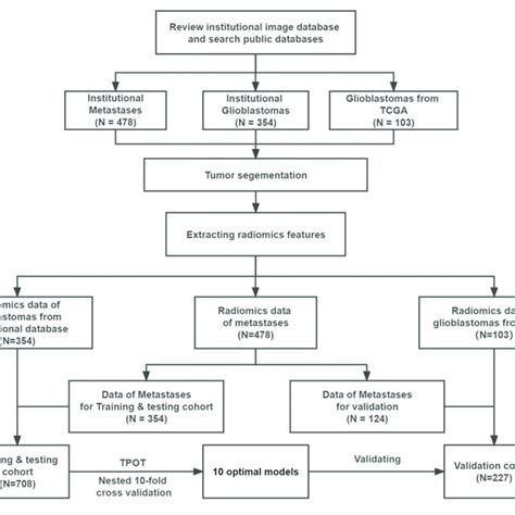Flowchart TCGA 的图像结果