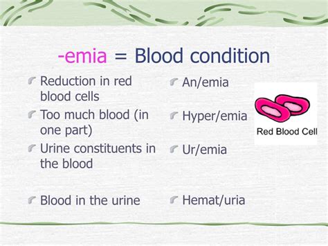 PPT - Medical Terminology PowerPoint Presentation, free download - ID ...