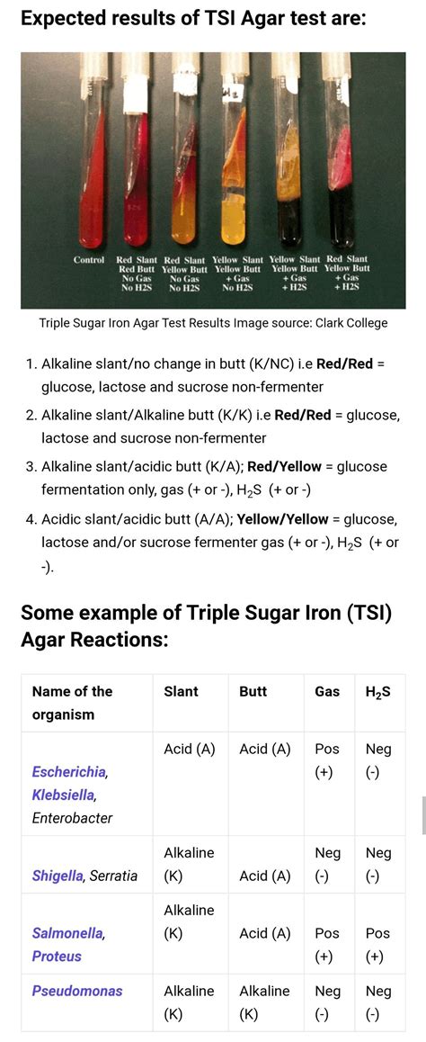 Best 13 Triple Sugar Iron (TSI) Agar: Principle, Results, and ...
