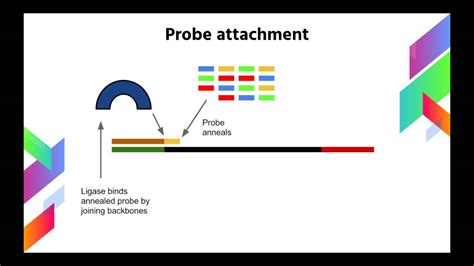 Image result for Solid Sequencing Explained