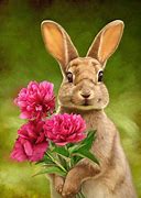 Image result for Flowers That Look Like Bunnies