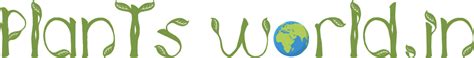 Plants World - Online Plants Shop