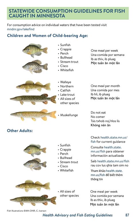 MN Fishing Regulations 2021 - Isaac Dixson - Page 87 | Flip PDF Online ...