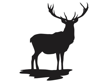 Silhouette Of Deer