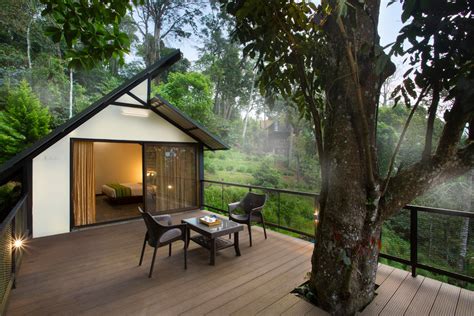 Kerala treehouse –Visit Bamboo dale Tree house