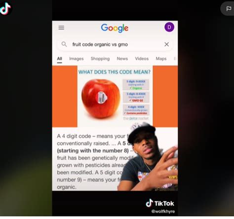The Bambi Doe Tiktok Controversy Explained | ICRW — Creator Insight Briefs