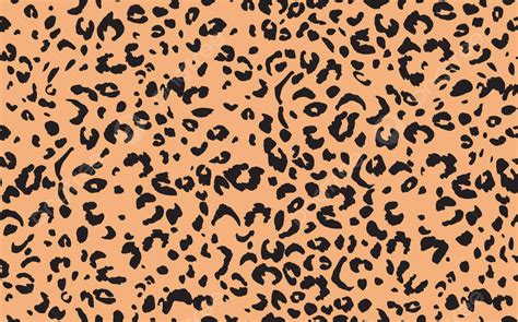 Image result for Leopard Layout