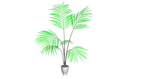 JavaScript Palm Tree Design Open Processing 的图像结果