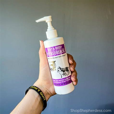 Sheep Care 的图像结果