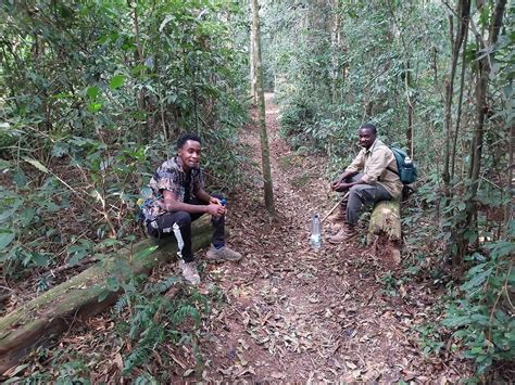 GICANDA TOURES SAFARIS & ACCOMMODATIONS - All You Need to Know BEFORE ...