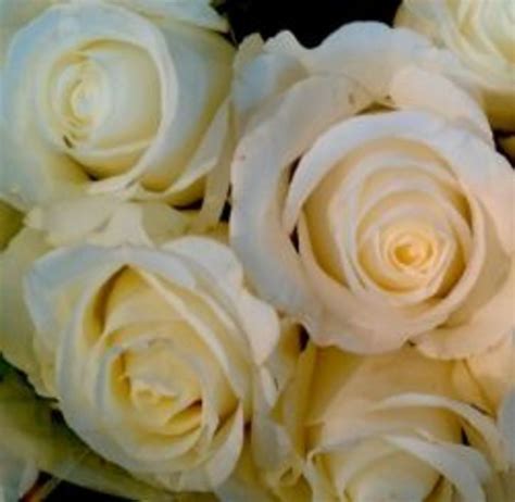 Quotes for Survivors of Domestic Violence and Abuse - HubPages