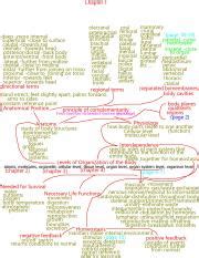 Communication Chapter 1 Concept Map 的图像结果