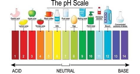Ph indicator chart colors and ranges – Artofit