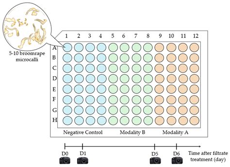 Image Analysis and Untargeted Metabolomics Reveal Potential Phytotoxins ...