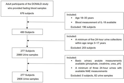 Higher Renal Net Acid Excretion, but Not Higher Phosphate Excretion ...